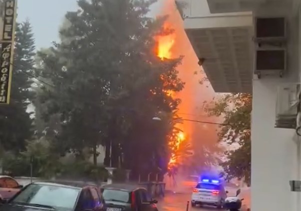 Κακοκαιρία: Κεραυνός χτυπά δέντρο και το τυλίγει στις φλόγες στη Ναύπακτο [βίντεο]