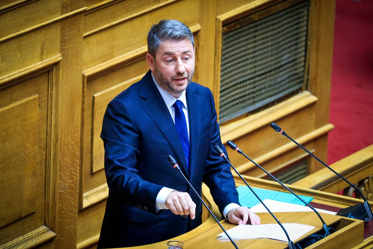 Ανδρουλάκης: Η πολιτική της ΝΔ μας οδηγεί σε επικίνδυνες γεωπολιτικές ατραπούς με απρόβλεπτες συνέπειες