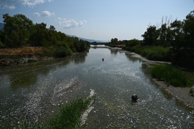 Ζήτημα προστασίας των ενισχύσεων για επιχειρήσεις που επλήγησαν στον Παγασητικό θέτει η Περιφέρεια Θεσσαλίας