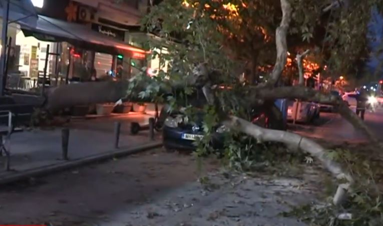 Θεσσαλονίκη: Δέντρο έπεσε σε ΙΧ αυτοκίνητο σε κεντρικό δρόμο