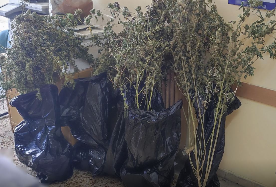 Πειραιάς: Ανακαλύφθηκε πλήρως εξοπλισμένο εργαστήριο καλλιέργειας κάνναβης