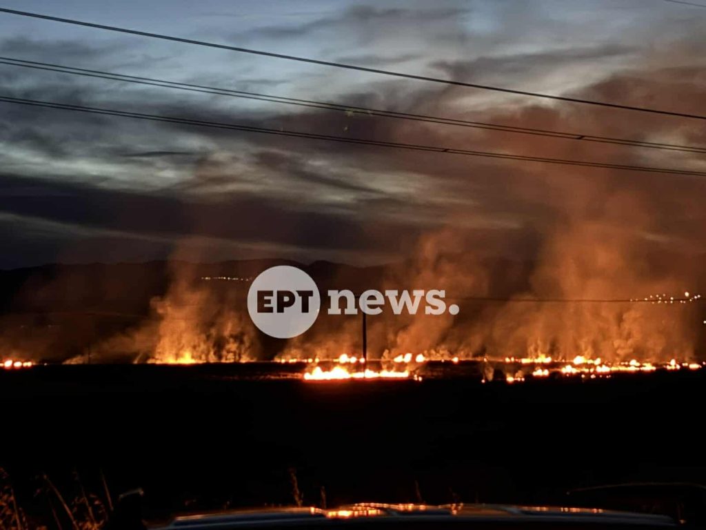 Πυρκαγιά στο Άργος Ορεστικό, κοντά σε πεδίο βολής