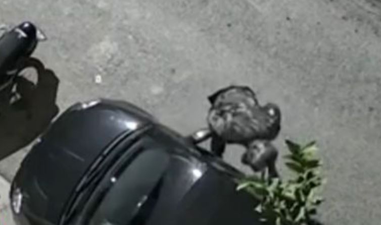 Επαγγελματική κλοπή αυτοκινήτου στο Περιστέρι σε λιγότερο από 90 δευτερόλεπτα