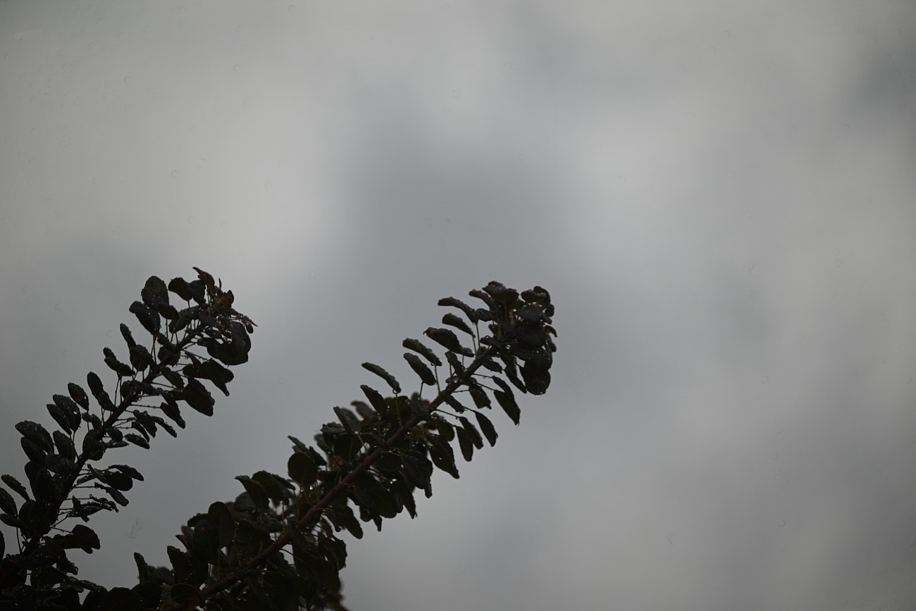 Άστατος καιρός την Παρασκευή με τοπικές βροχές στην Αττική