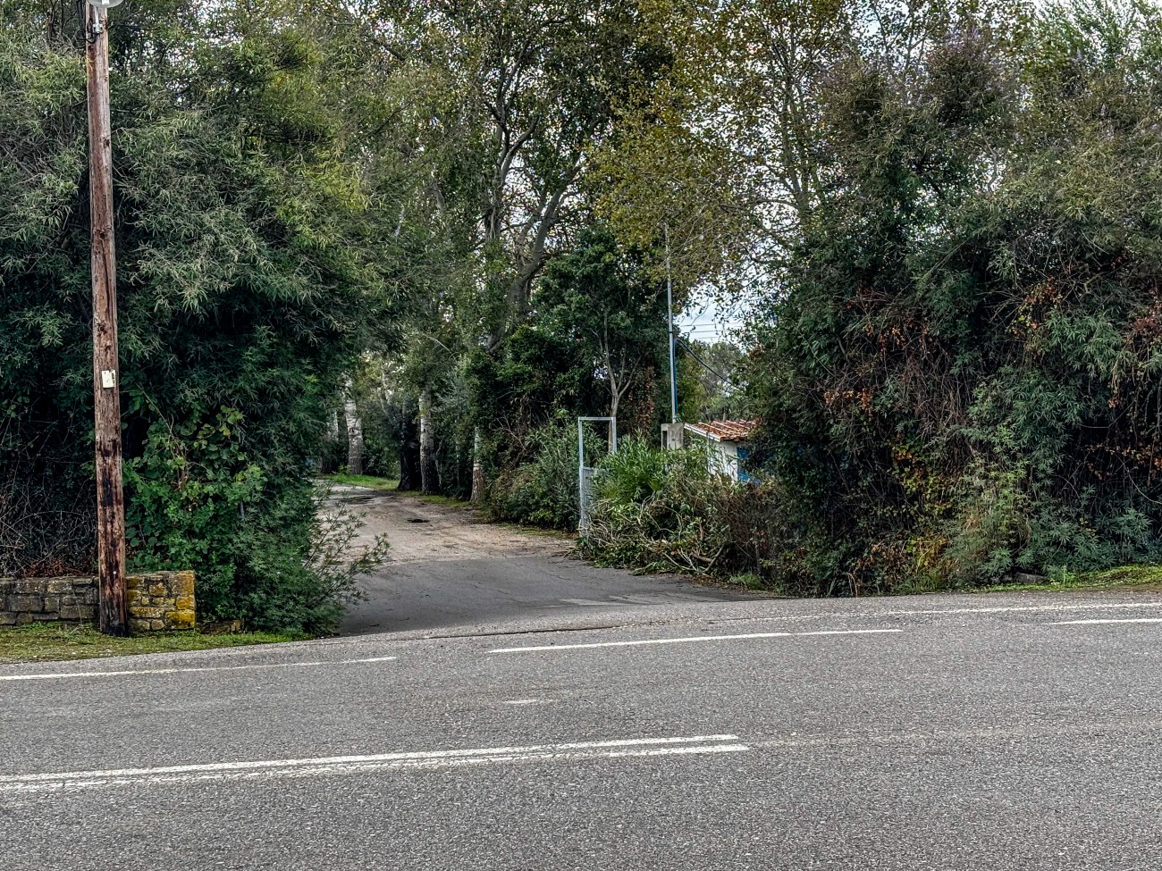 Μεσσηνία: Σημαντικές αποκαλύψεις για τα πακιστανικά κινητά – Οι κλήσεις την ημέρα του φονικού υπό διερεύνηση