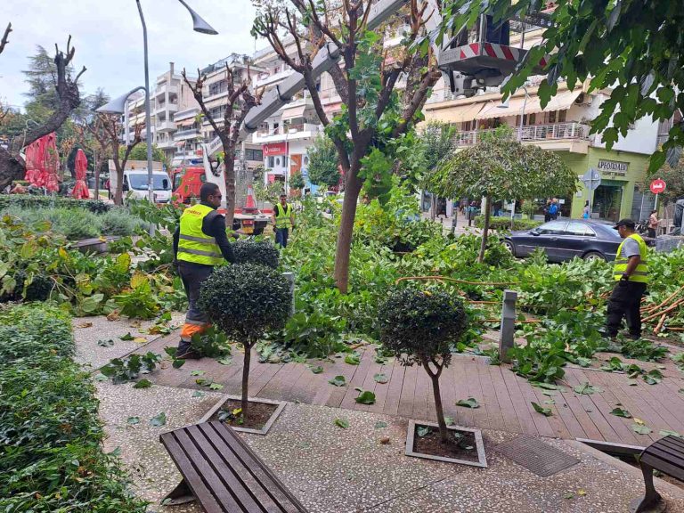 Σε πλήρη εξέλιξη οι εποχικές κλαδεύσεις στον Δήμο Καλαμαριάς