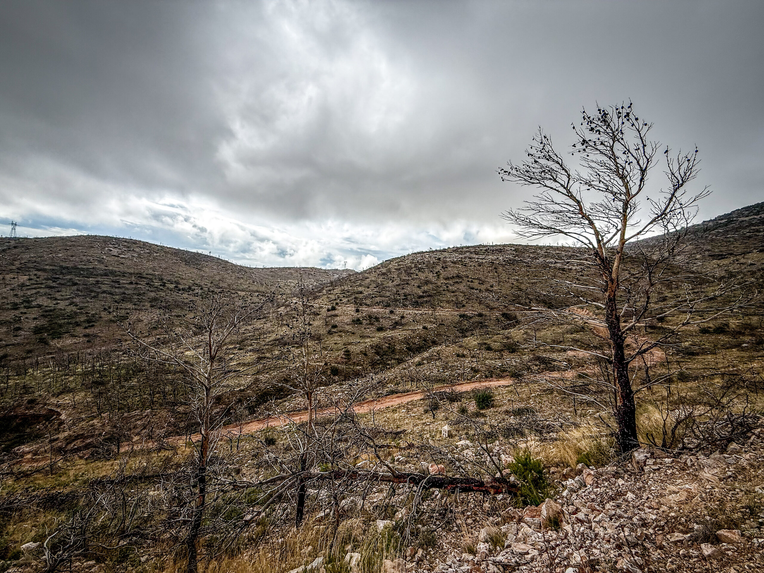 Επελαύνει η κακοκαιρία στην Ήπειρο: Πλημμύρες, πεσμένα δέντρα και δρόμοι-ποτάμια σε Φιλιππιάδα, Βόνιτσα και Πρέβεζα