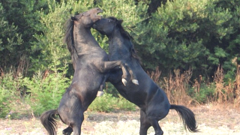 Διεθνές δίκτυο συνεργασίας για τον κυνηγετικό τουρισμό προωθεί τη βιωσιμότητα και την εκπαίδευση