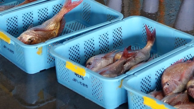 Διπλωματικές εντάσεις: Η Κίνα αναστέλλει τις εισαγωγές ιαπωνικών θαλασσινών