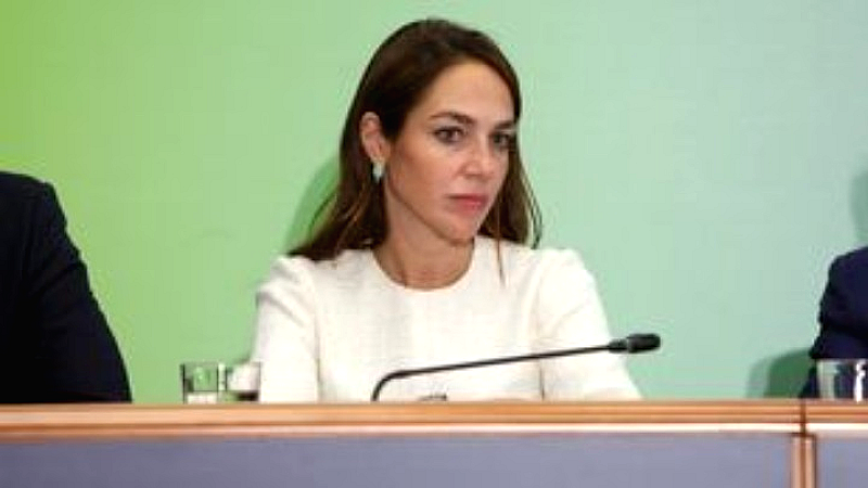 Δόμνα Μιχαηλίδου: Τα δικαιώματα στην ανεξάρτητη διαβίωση στην Κοπεγχάγη