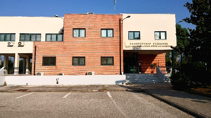 Η μάλαξη ευεξίας συμβάλλει στη βελτίωση του ύπνου με σύντομες συνεδρίες – Πώς μπορούμε να ενισχύσουμε την ποιότητα του ύπνου μας;