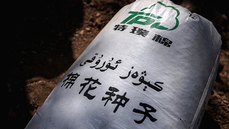 Σημαντική άνοδος στο ποσοστό εφοδιασμού σε σπόρους στην Κίνα