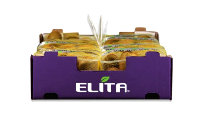 Η εξωστρέφεια και η τυποποίηση ως παράγοντες της περιφερειακής ανάπτυξης σύμφωνα με τον Λάζαρο Τσαβδαρίδη