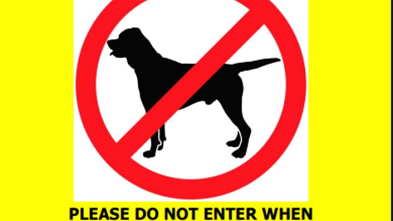 Mέτρα προφύλαξης στο πλαίσιο επιχείρησης απομάκρυνσης λύκου στον Νέο Μαρμαρά