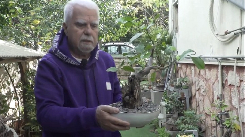 Ο κήπος των 130 μπονζάι στη Νέα Σμύρνη: Μια τέχνη που ευδοκιμεί στο χρόνο