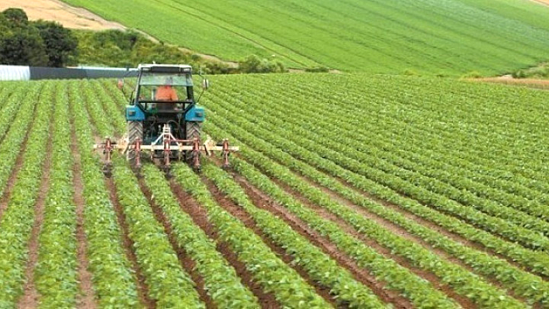 ΟΠΕΚΕΠΕ: Καταβλήθηκαν 46 εκατ. ευρώ σε 82.870 αγρότες για ενισχύσεις