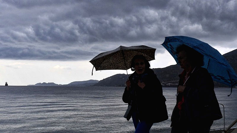 Πάτρα: Επικίνδυνοι άνεμοι προκαλούν πτώσεις δέντρων και ζημιές σε σταθμευμένα αυτοκίνητα