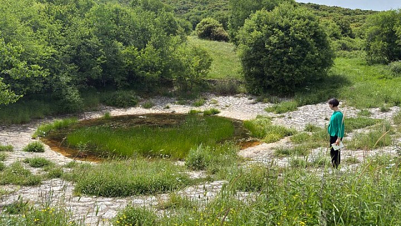 Αξιοποίηση των λουτσών για την ενίσχυση της μετακινούμενης κτηνοτροφίας