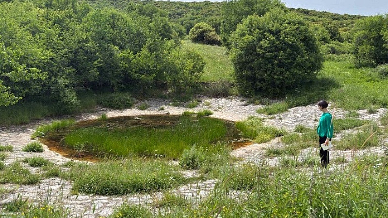 Πολύτιμες λούτσες για την υποστήριξη της κτηνοτροφίας στις ορεινές περιοχές