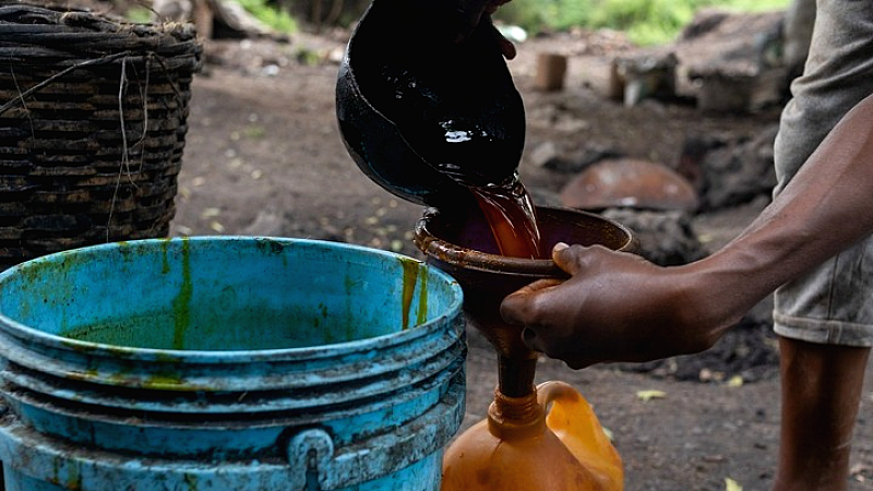 Αγωνία και πείνα στη βόρεια Νιγηρία: Ανησυχητικά επίπεδα επισιτιστικής ανασφάλειας
