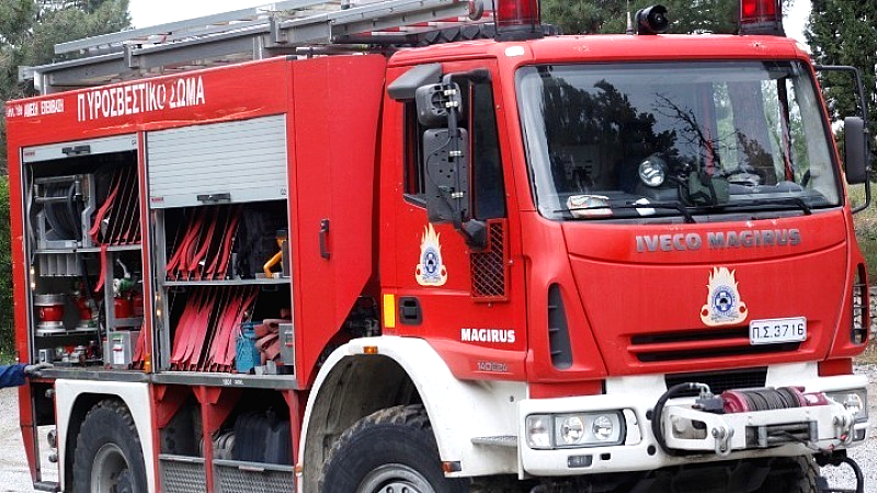 Σφοδρές καιρικές συνθήκες στη Θεσσαλονίκη προκαλούν πτώσεις δέντρων