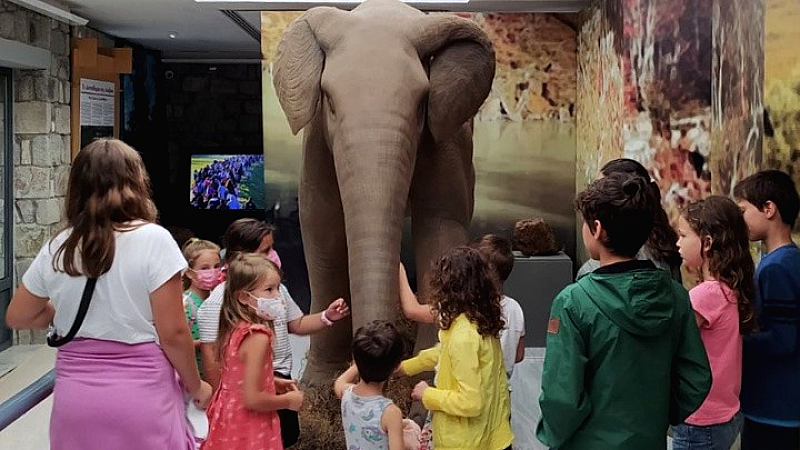 Ανακαλύπτοντας τις κλιματικές αλλαγές του Αιγαίου μέσα από ένα δεινοθήριο 19 εκατομμυρίων ετών