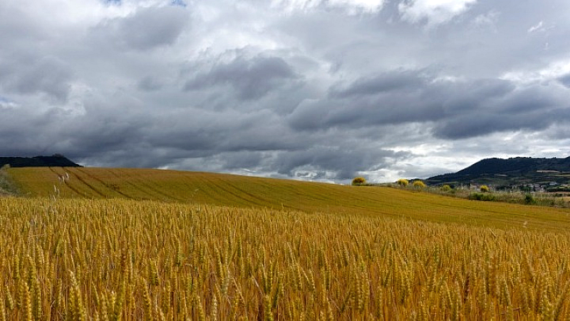 Το έργο REHUBS φιλοδοξεί να θωρακίσει τις ευρωπαϊκές αγροτικές κοινότητες απέναντι στην κλιματική κρίση