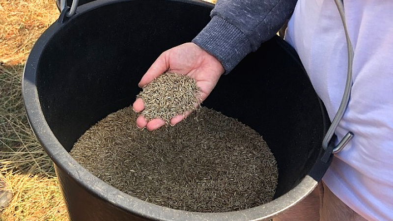 WWF: Ο ρόλος των οικολογικών διαδρόμων στην προστασία της άγριας ζωής