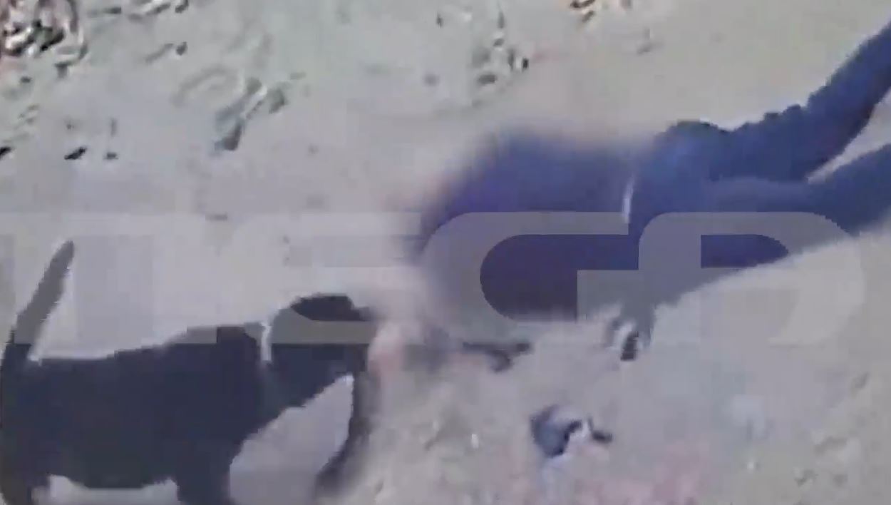 Καλαμάτα: Κρίσιμη κατάσταση για 76χρονο που δέχθηκε επίθεση από τον σκύλο του