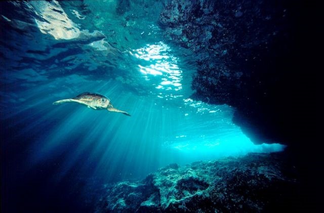 Νέο υποβρύχιο αξιοθέατο στον Δήμο Δελφών