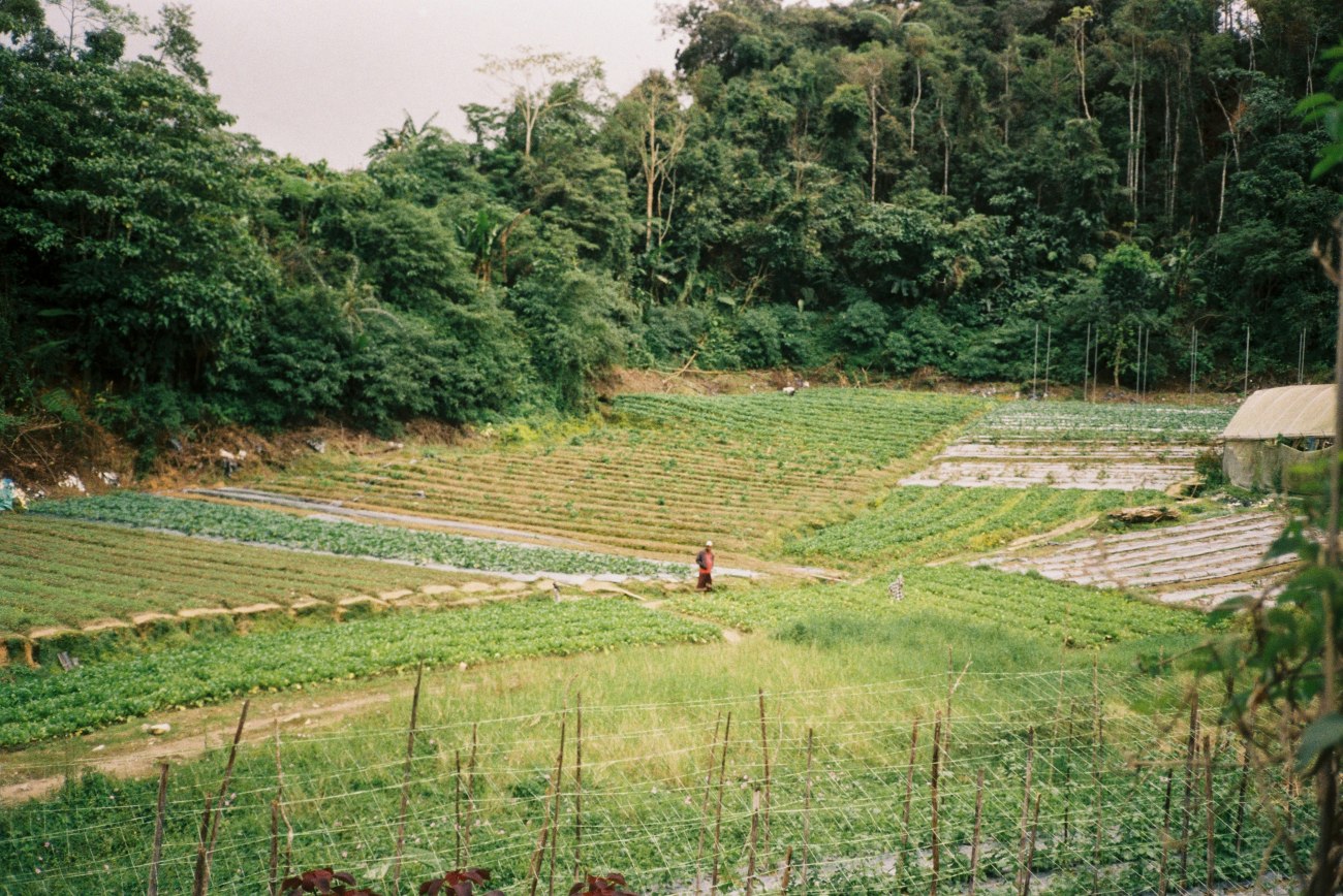 Ευρωβουλευτές προσπαθούν να ανακόψουν την υπογραφή της συμφωνίας ΕΕ-Mercosur
