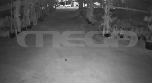 Φοινικούντα: Ηχητικό ντοκουμέντο αποκαλύπτει λεπτομέρειες για τη διπλή δολοφονία