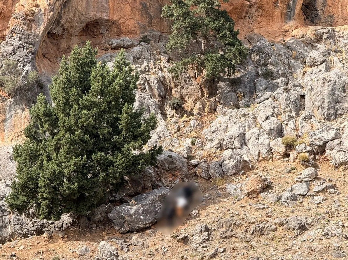 Ταυτοποιήθηκε ο γαμπρός του Καργάκη ως συμμετέχων στο μακελειό στα Βορίζια – Ανακοίνωση της ΕΛ.ΑΣ.