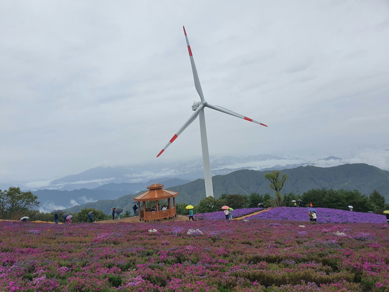 Κίνα: Η ενεργειακή επανάσταση και οι συνέπειές της στις παγκόσμιες αγορές