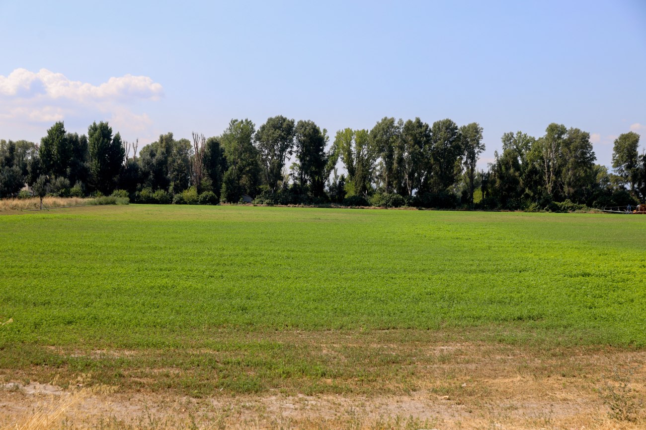 Σπορά σε άγονο έδαφος: Οι άκαρπες επενδύσεις στη γεωργία