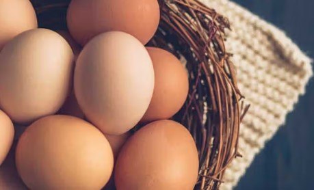 Η επιστροφή της γρίπης των πτηνών προκαλεί κρίση στην αγορά αυγών