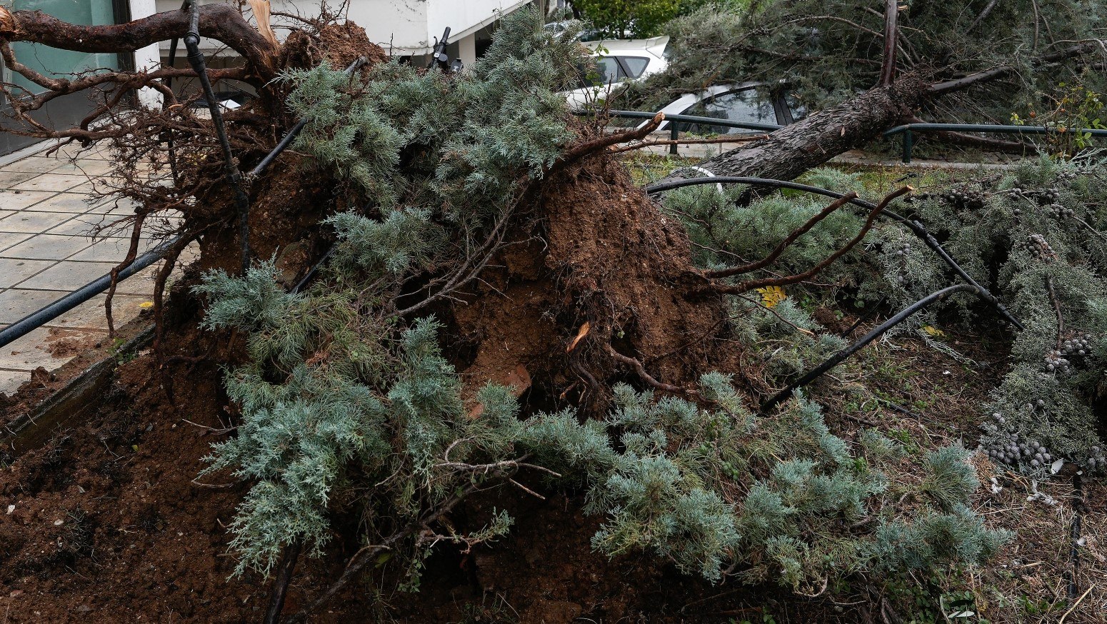 Κακοκαιρία: Σημαντικές ζημιές από πτώσεις δέντρων και προβλήματα στις υποδομές