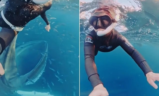 Νορβηγία: Θρίλερ σε παγωμένα νερά, δύτρια σώζεται την τελευταία στιγμή από επίθεση φάλαινας