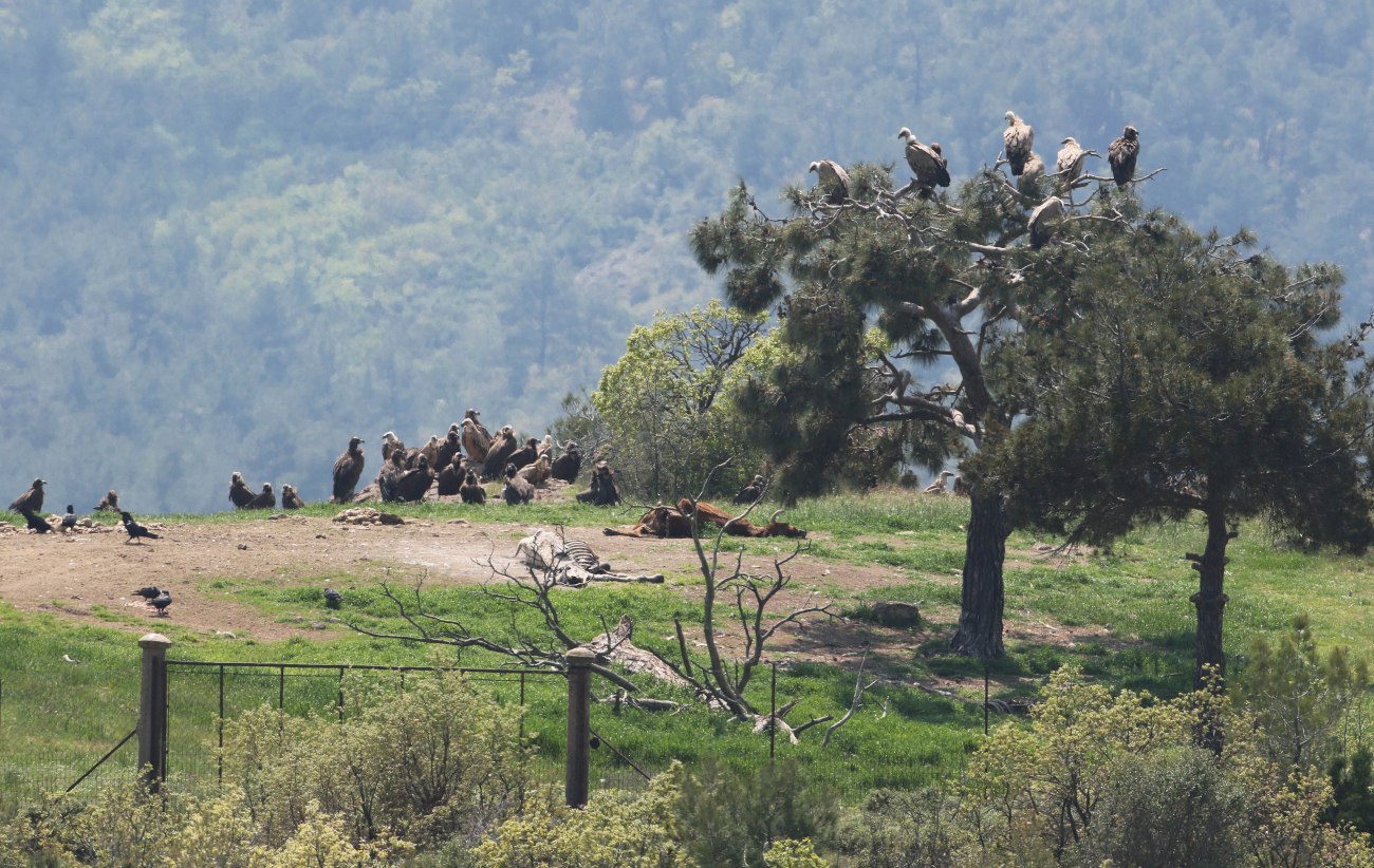 Στο επίκεντρο της ΕΕ, της ΕΔΕΛ και του Ελεγκτικού Συνεδρίου το πρόγραμμα Antinero: Χάνονται 30 εκατ. ευρώ από το Ταμείο Ανάκαμψης