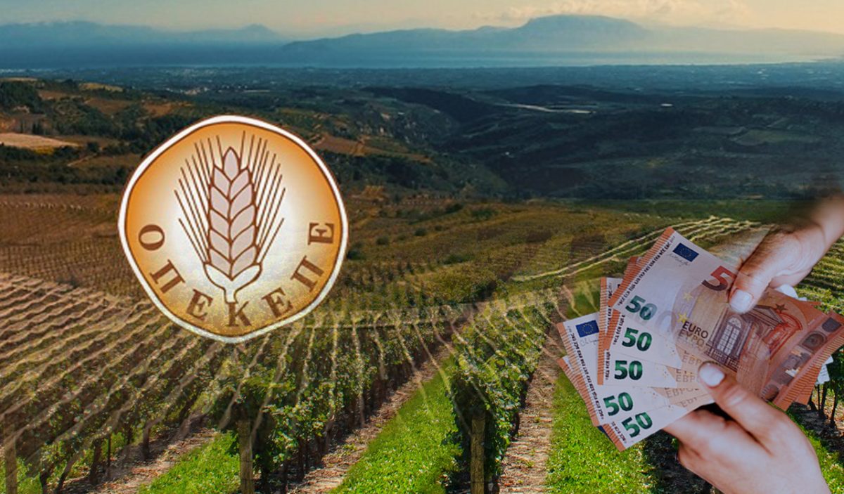 Κάτρης (Cognitera) στην εξεταστική επιτροπή της Βουλής: Εντονότερες αντιδράσεις στον ΟΠΕΚΕΠΕ για τη μετάβαση στο gov.gr