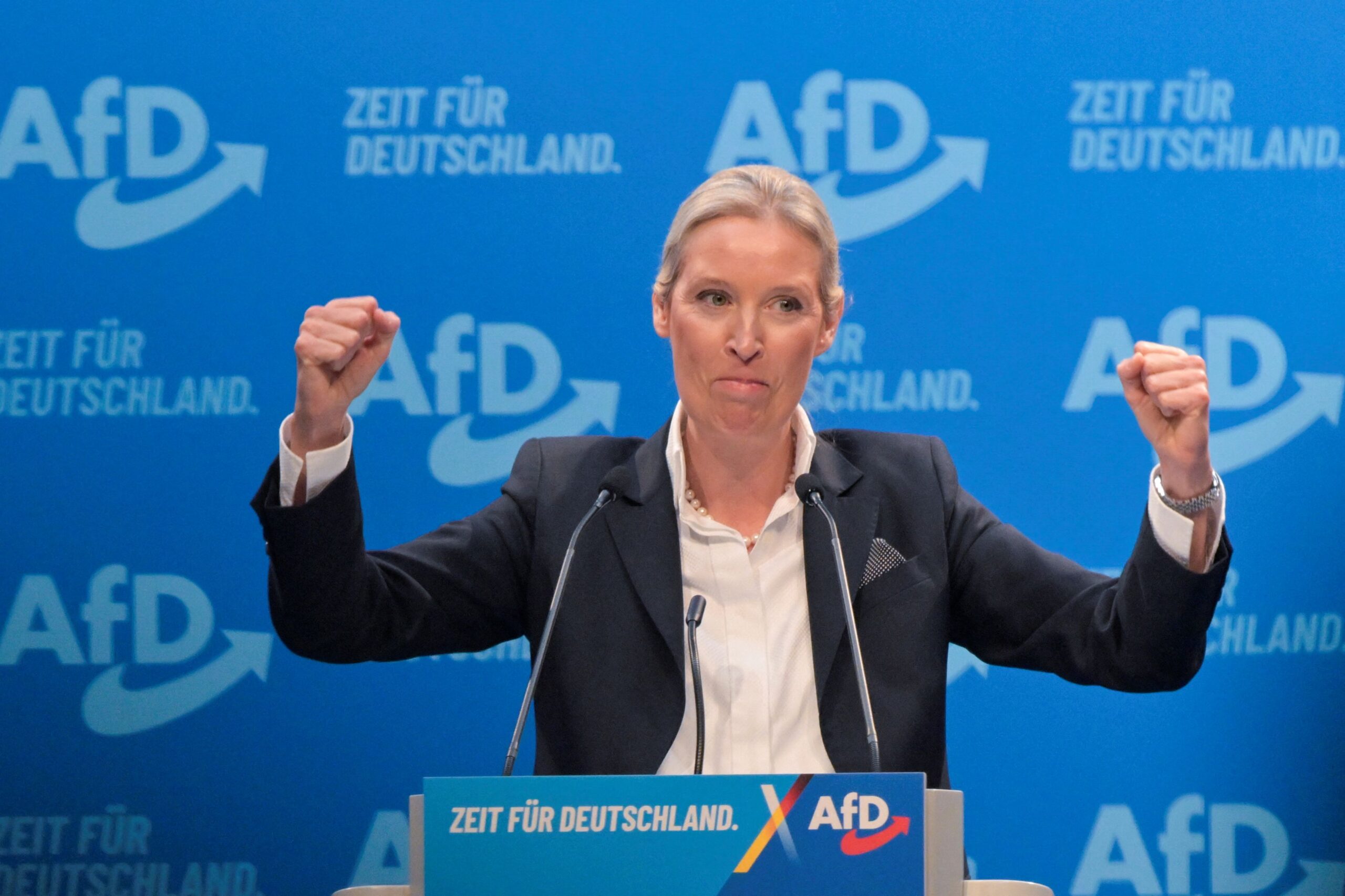 Το AfD προτρέπει τις ευρωπαϊκές κυβερνήσεις να αναγνωρίσουν τις αντιφασιστικές ομάδες ως τρομοκρατικές