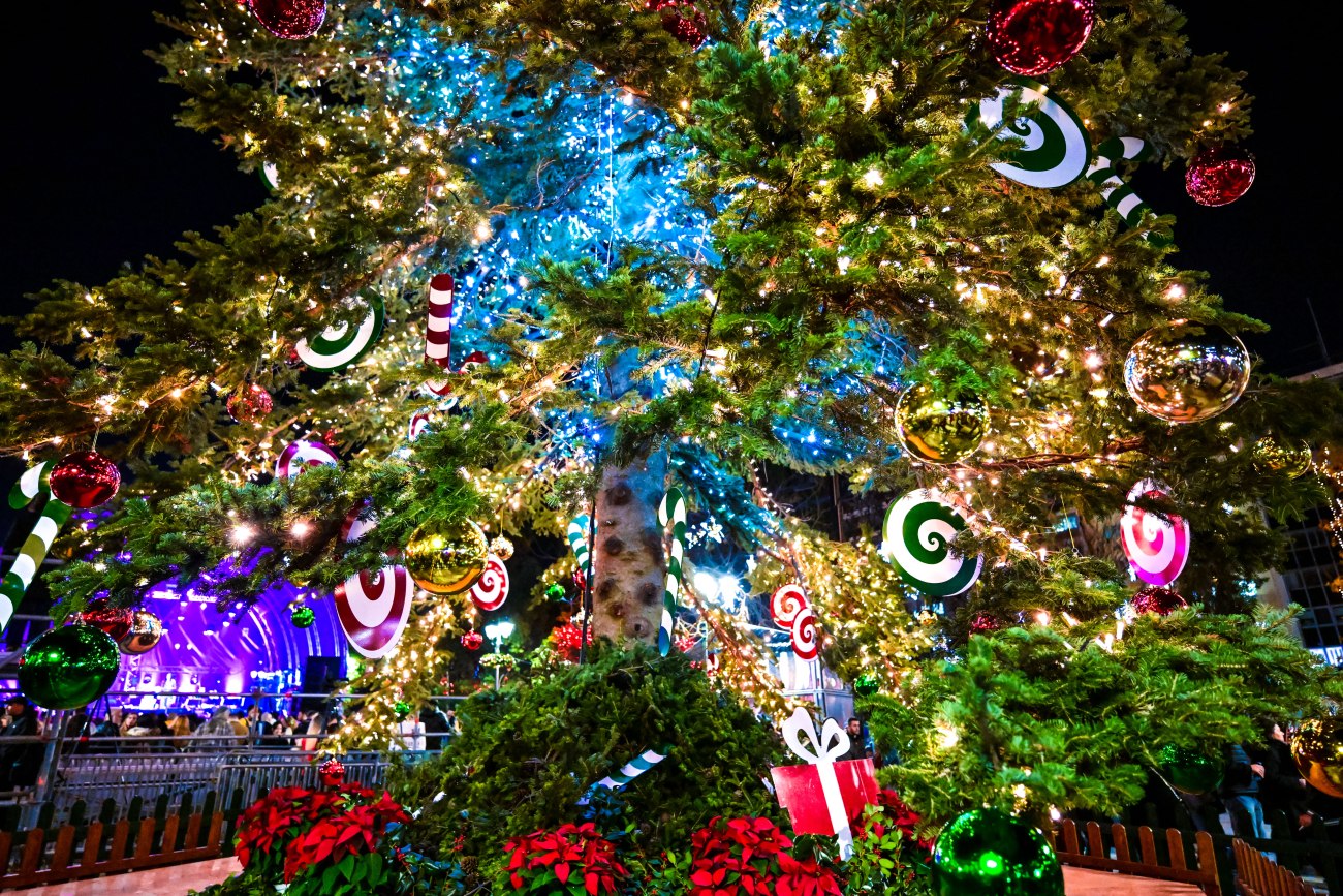 Πλησιάζει η φωταγώγηση του χριστουγεννιάτικου δέντρου στο Σύνταγμα