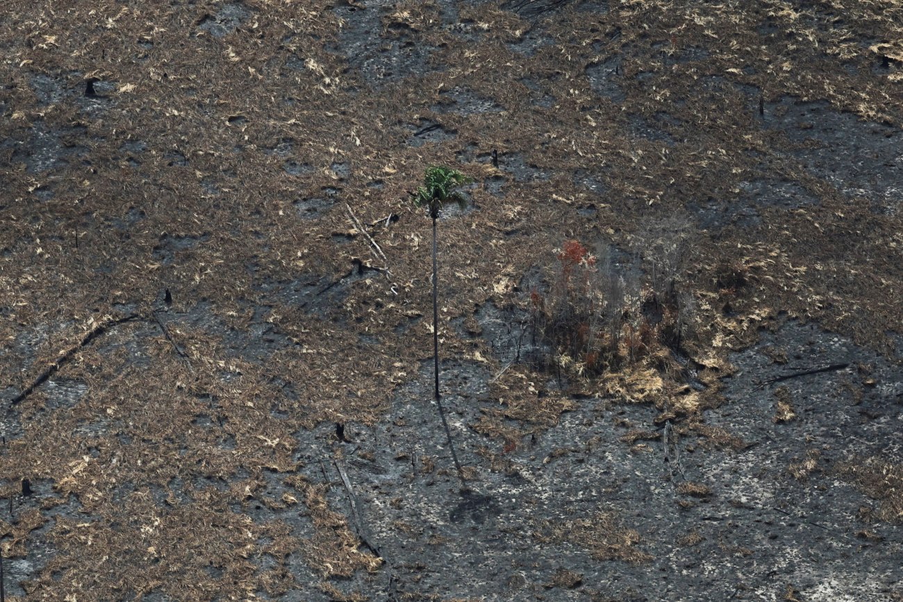 Πτώση της Ελλάδας στον δείκτη κλιματικής πολιτικής: Ποιες είναι οι αιτίες πίσω από τη μέση θέση της χώρας