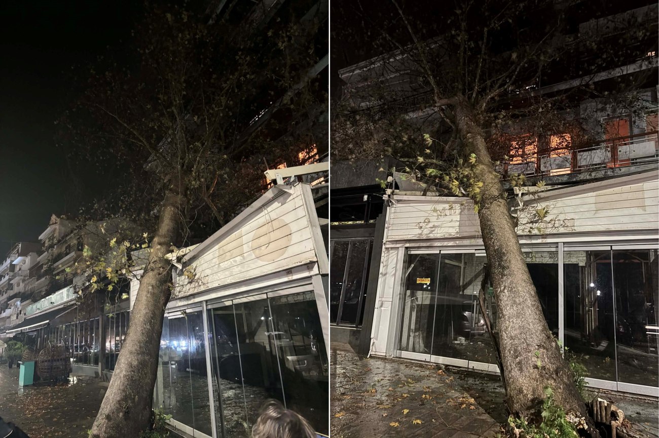 Ηγουμενίτσα: Έπεσε τεράστιος πλάτανος σε κλειστή ταβέρνα από ισχυρούς ανέμους