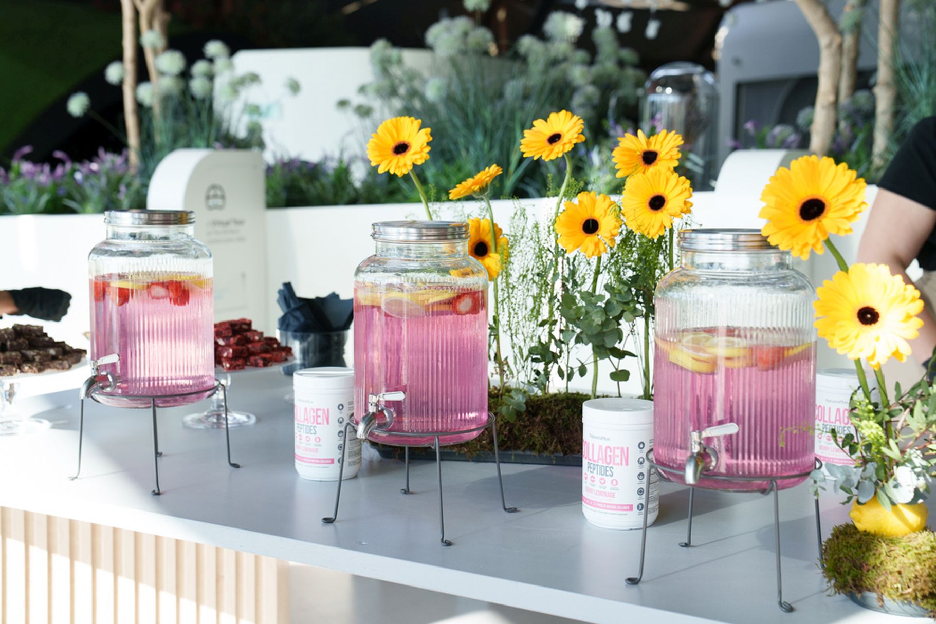 Εμπειρία από τη φύση: Η NaturesPlus συνδυάζει την επιστήμη με τη δύναμη της φύσης