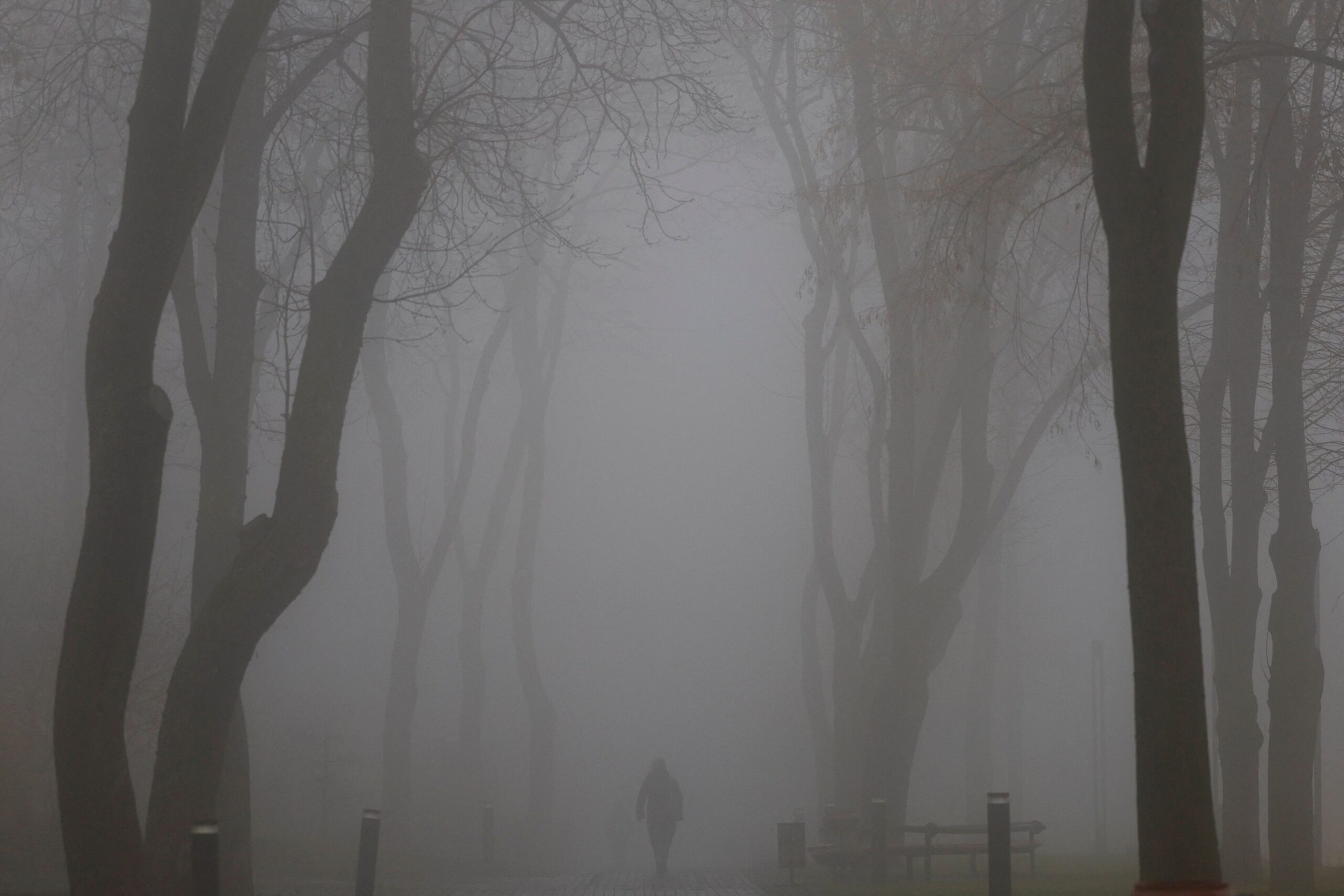 Σχέδιο Τραμπ για την Ουκρανία: Αντιδράσεις από ΕΕ, Καναδά και Ιαπωνία