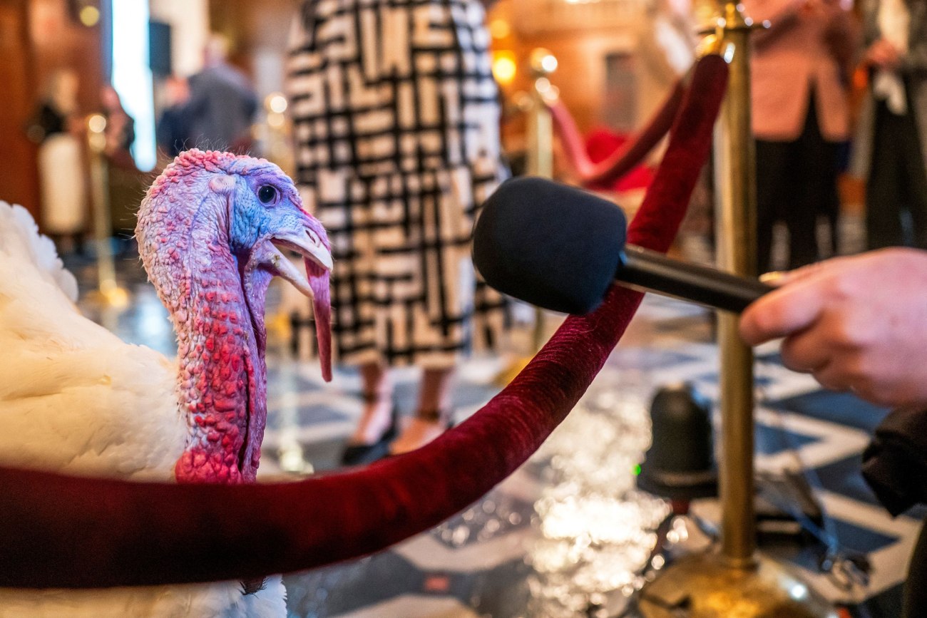 Ημέρα των Ευχαριστιών: Η Αντζελίνα Τζολί και άλλοι διάσημοι απορρίπτουν τη γιορτή λόγω γενοκτονίας