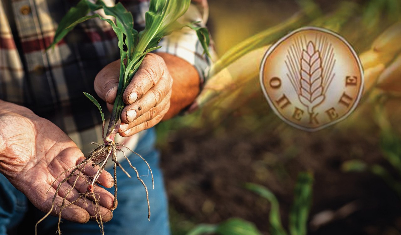ΟΠΕΚΕΠΕ: Ανεξέλεγκτες καταστάσεις στις πληρωμές – Οι αγρότες μένουν χωρίς χρήματα