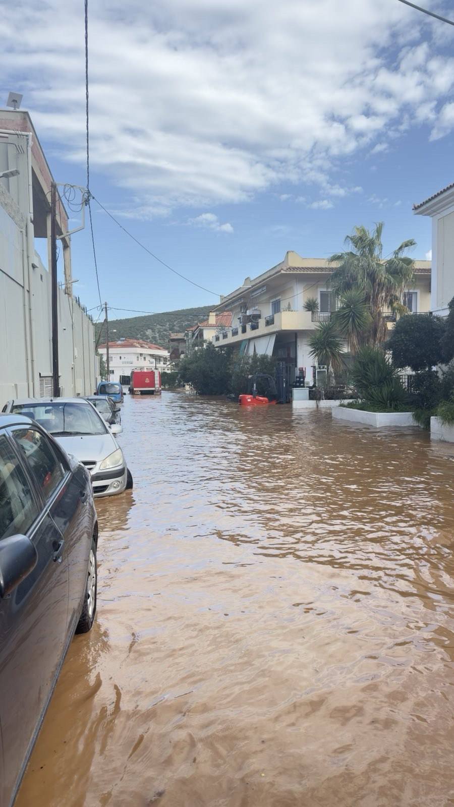 Δήμαρχος Ερμιονίδας: Καταγράφηκαν 110 τόνοι νερού ανά στρέμμα σε 7 ώρες