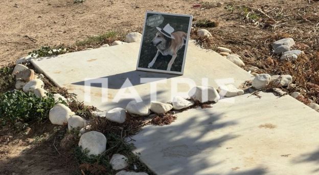 Ηράκλειο: Η ιστορία της Κανέλας, της σκυλίτσας που θάφτηκε στο αεροδρόμιο